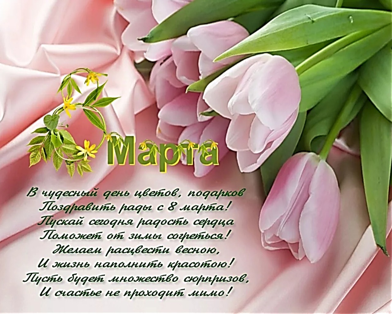 тюльпаны